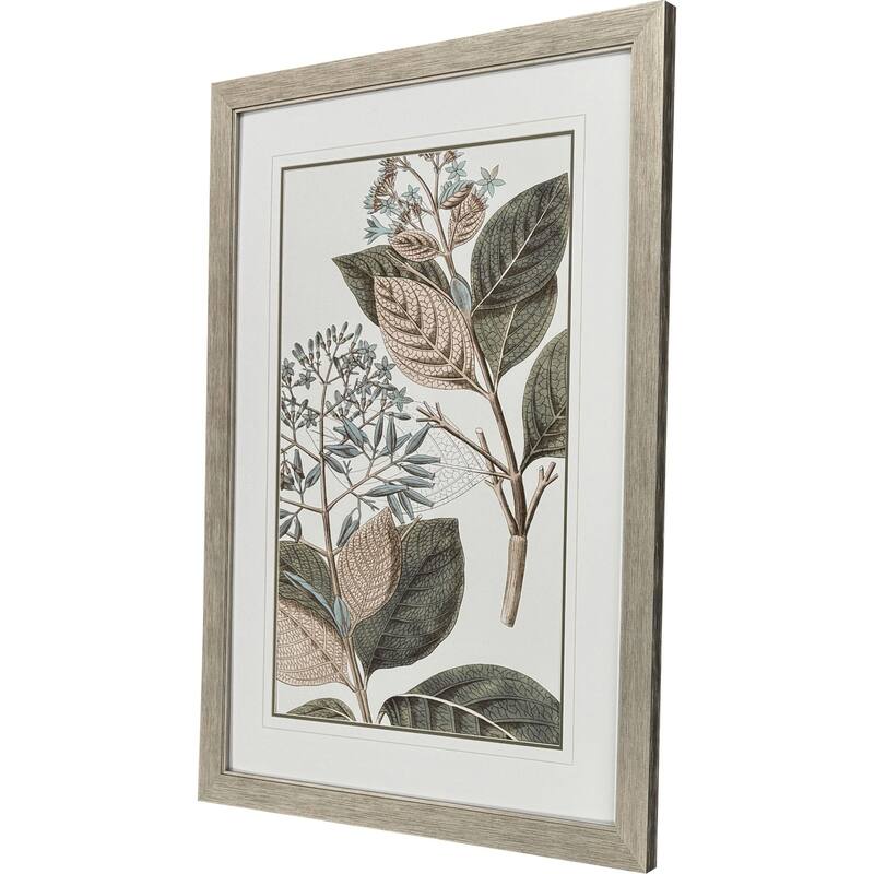 Paragon Flowering Botanical III Framed Art
