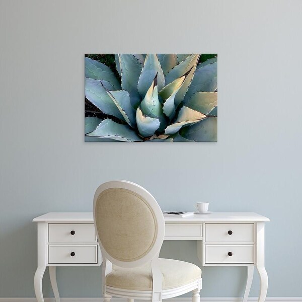 Easy Art Prints Dana Echols's 'Agave, New Mexico' Premium Canvas Art