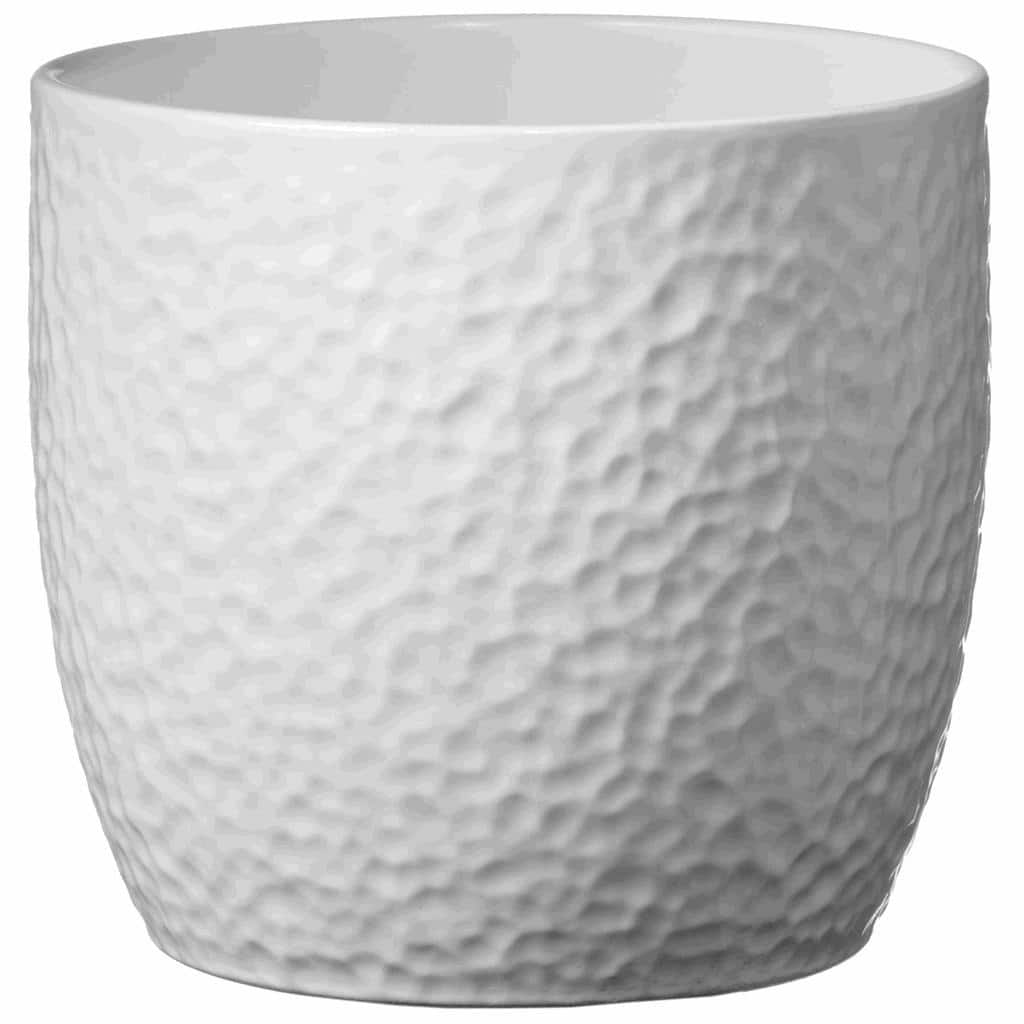 6.3" White Ceramic Boston Indoor Plant Pot