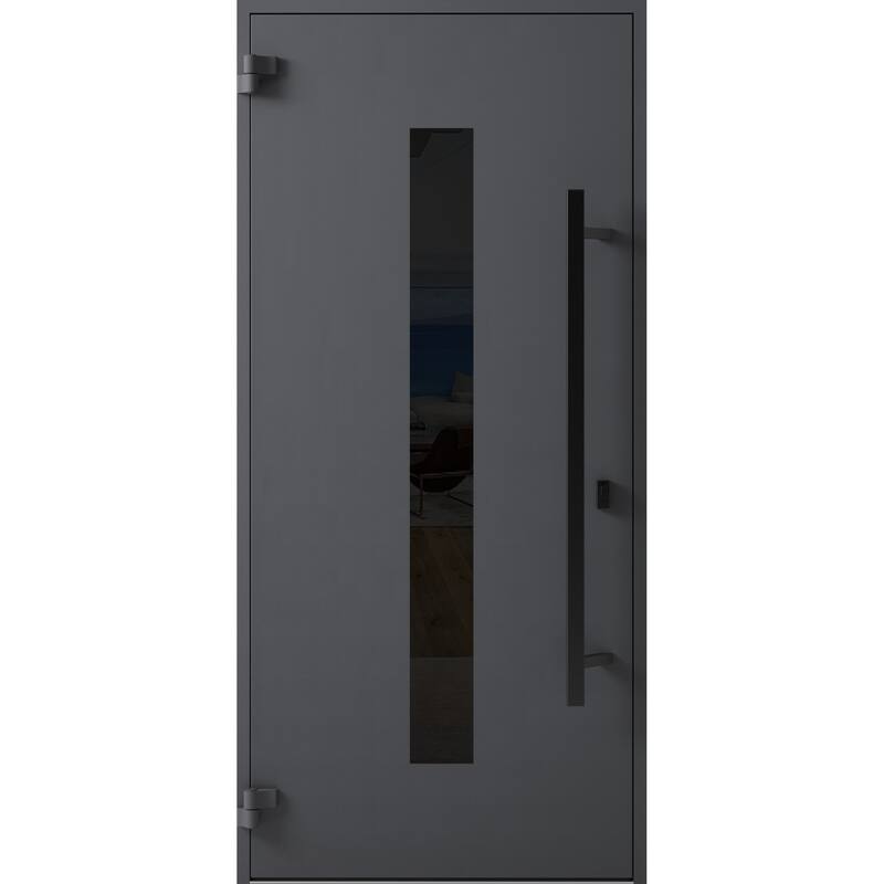 Front Prehung Steel Door Ronex 1011 Grey Side and Top Window Sidelite Stainless Inserts W36+12xH80+16 Lh I