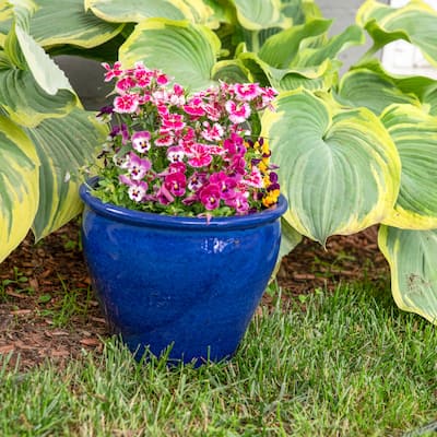 Sunnydaze Chalet Ceramic Indoor/Outdoor Planter - Set of 2