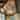4 - Light Farmhouse Lantern Glass Drum Chandelier for Entryway