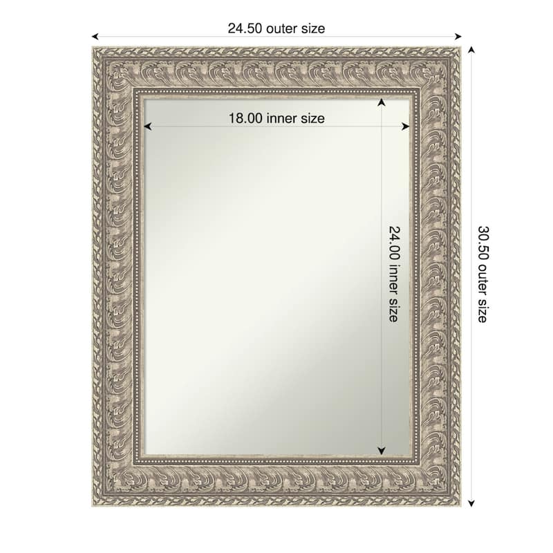 Sydney Silver Non-Beveled Framed Wall Mirror - Sydney Silver - 25 x 31 in