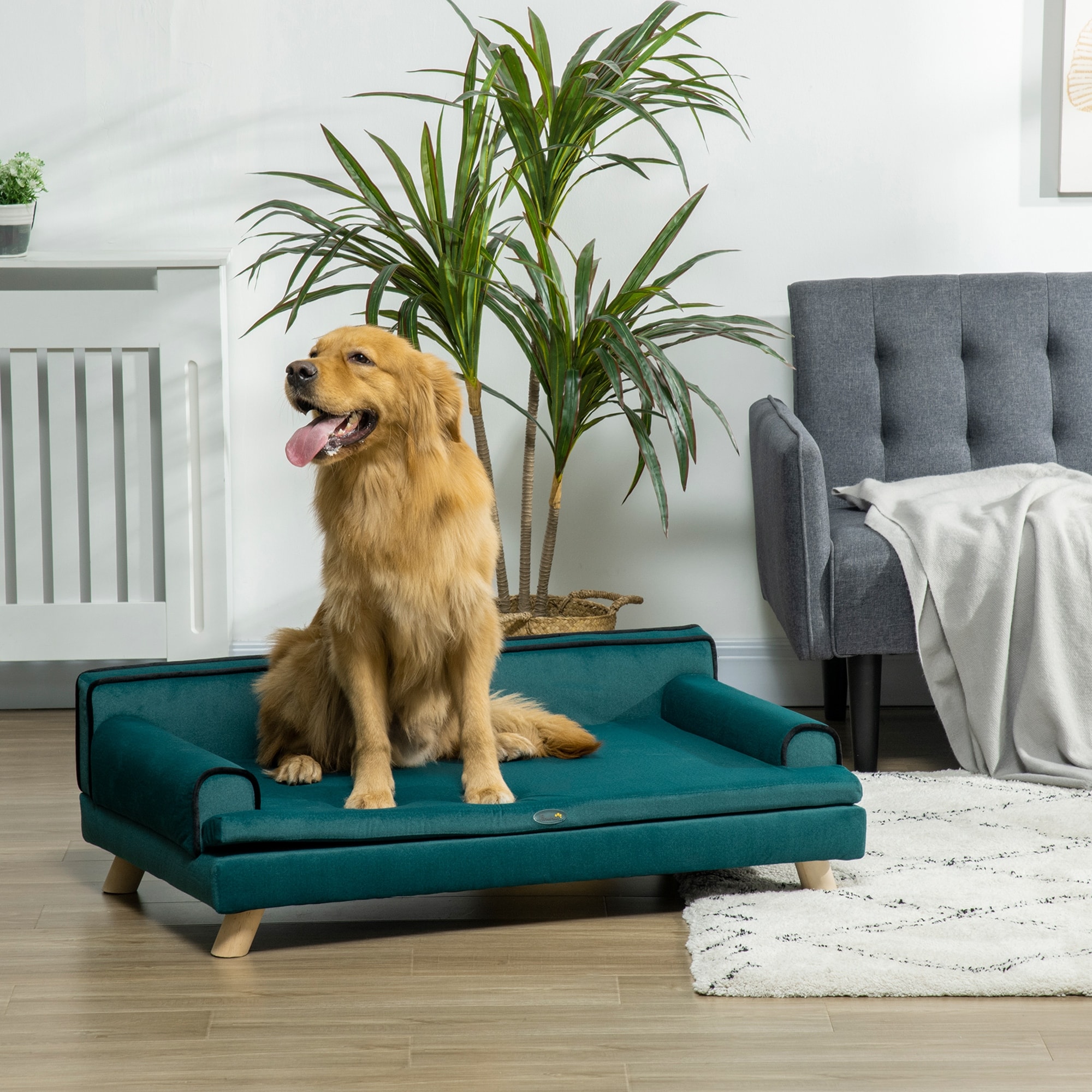 PawHut Soft Foam Large Dog Couch for a Fancy Dog Bed, Spongy Dog Sofa Bed, Washable Cover, Elevated Dog Bed, Teal