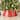 Glitzhome 26"D "Merry Christmas" Die-Cut Metal Tree Collars with Light String
