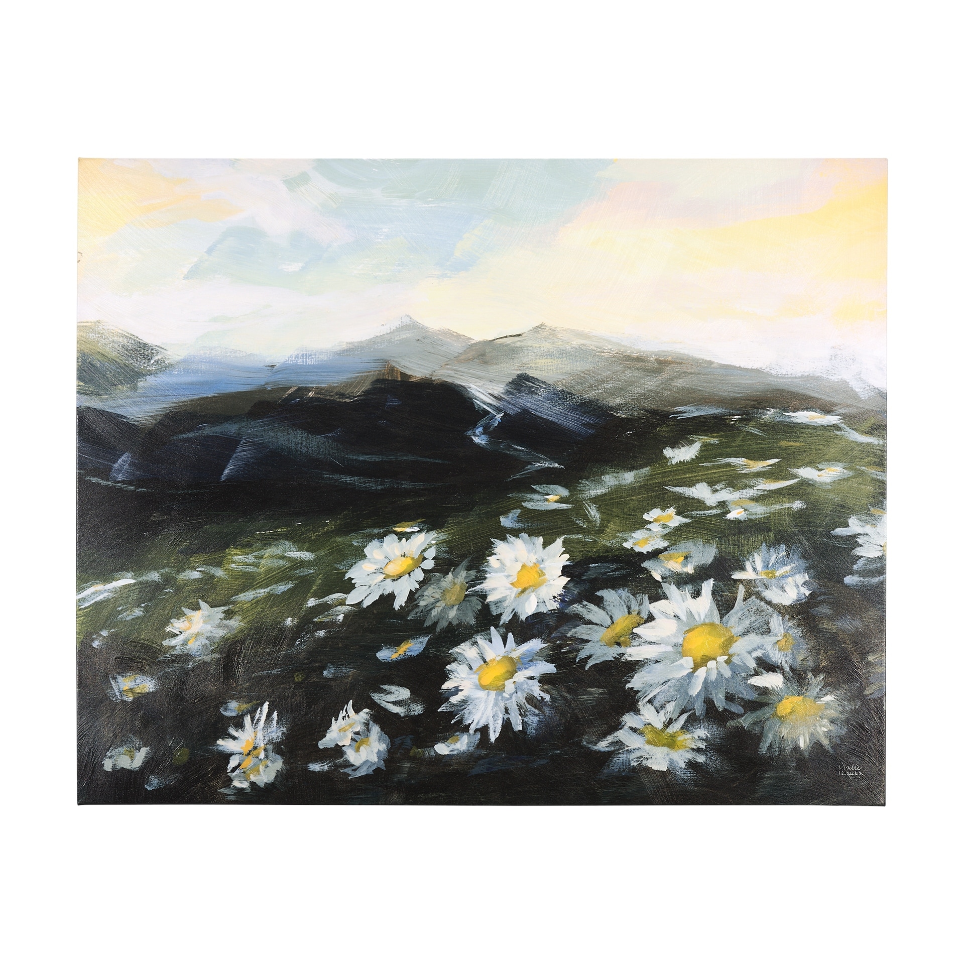 Sunrise Valley II (35 x 28) Canvas Art Print