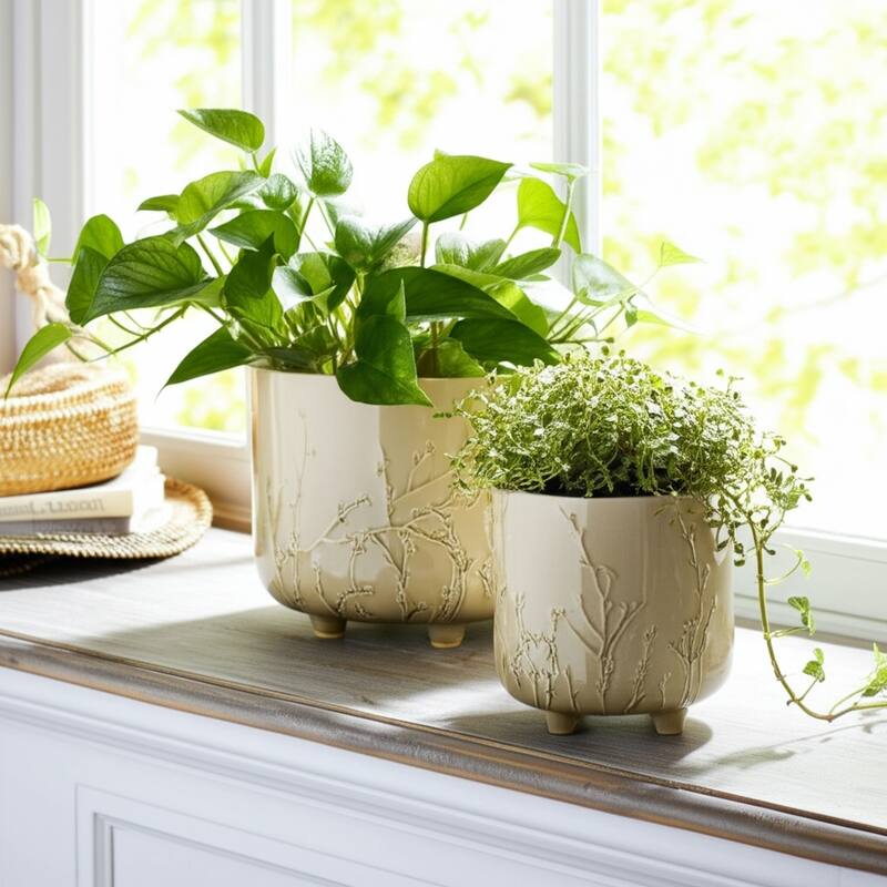 Ceramic Stoneware Planter with Raised Botanical Texture Footed Base