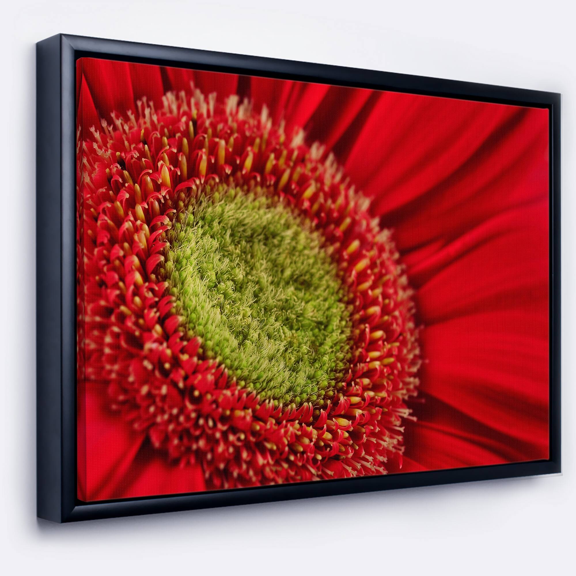 Designart "Red Daisy Gerbera Flower Close up" Flowers Framed Canvas