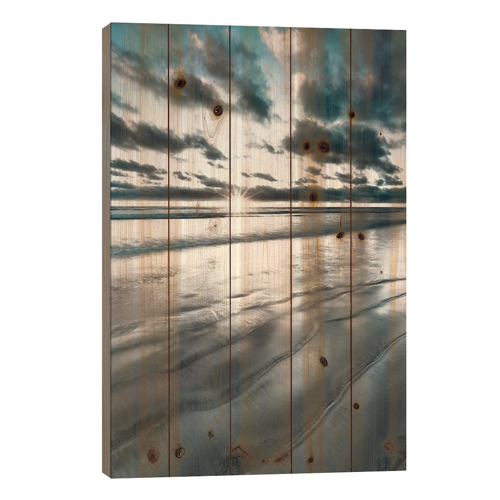 Silver Sun Print On Wood by Danita Delimont - Multi-Color