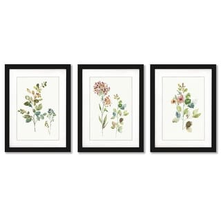Botanical Illustrations Asia Jensen Contemporary 2 - 3 Piece Framed Gallery Art Set