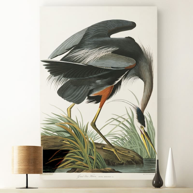 Pl 211 Great Blue Heron-Premium Gallery Wrapped Canvas