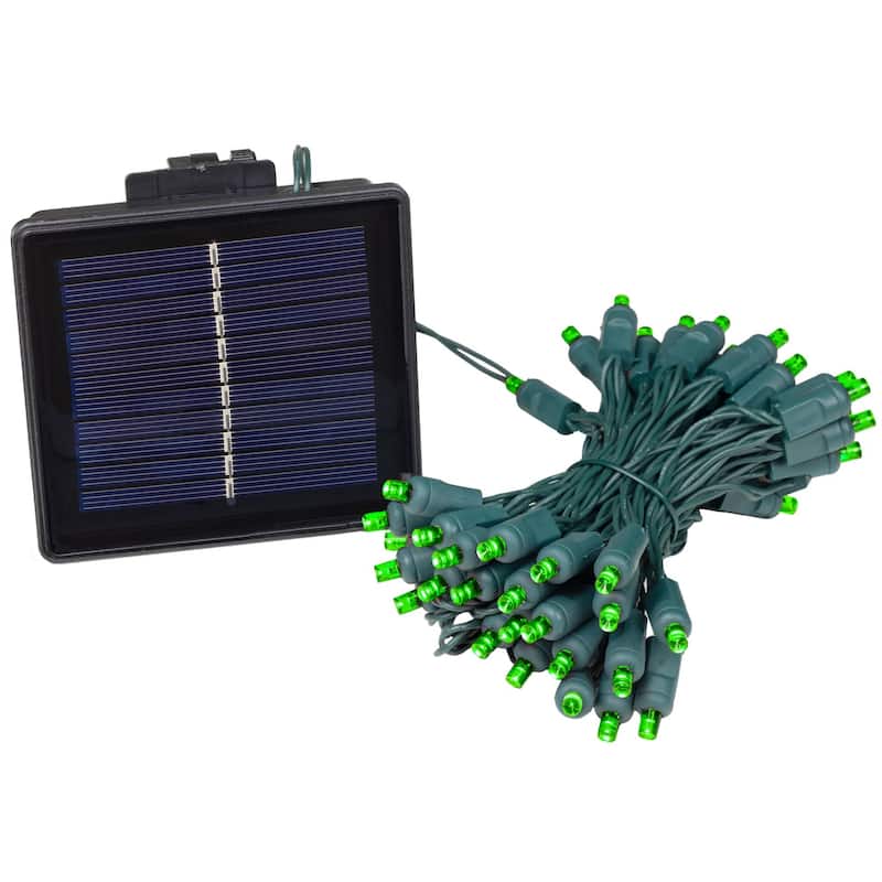 Novelty Lights 50 Light Solar LED Outdoor Christmas Mini Light Set, 12 Feet - Green
