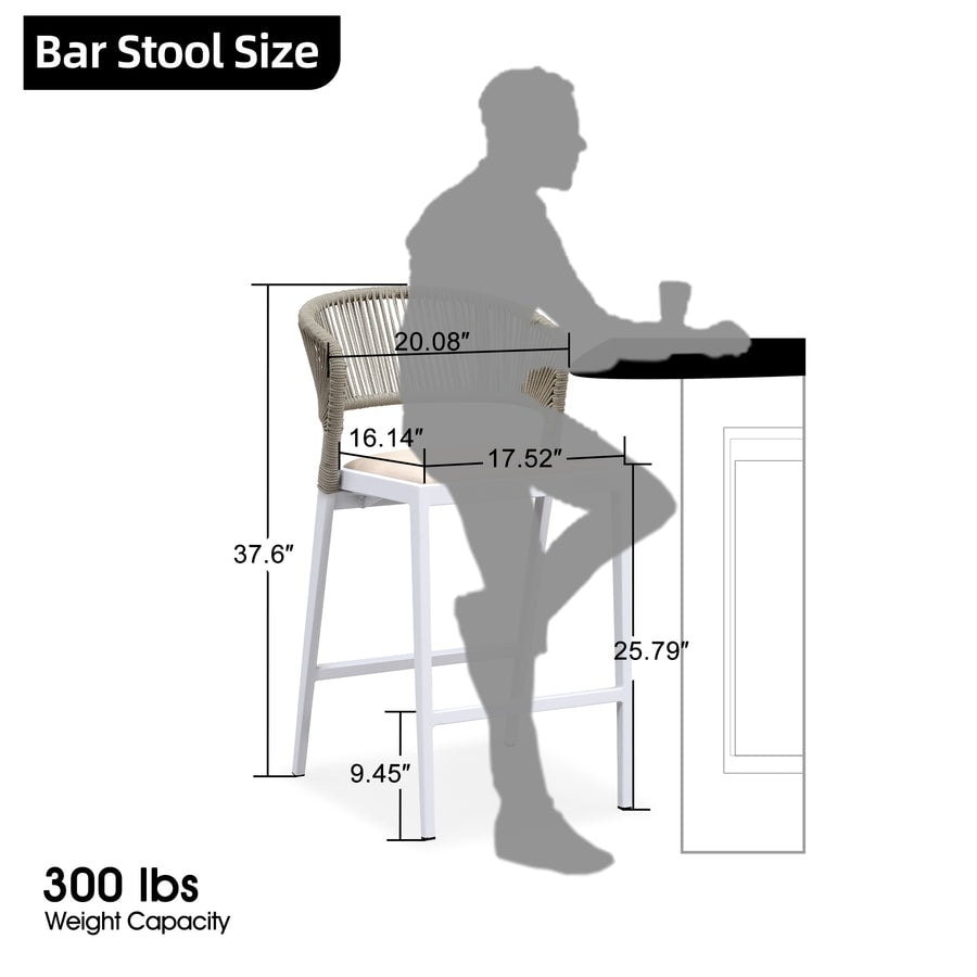 PURPLE LEAF Outdoor Dining Chairs Set of 2 Patio Bar Hight Stools with Cushion