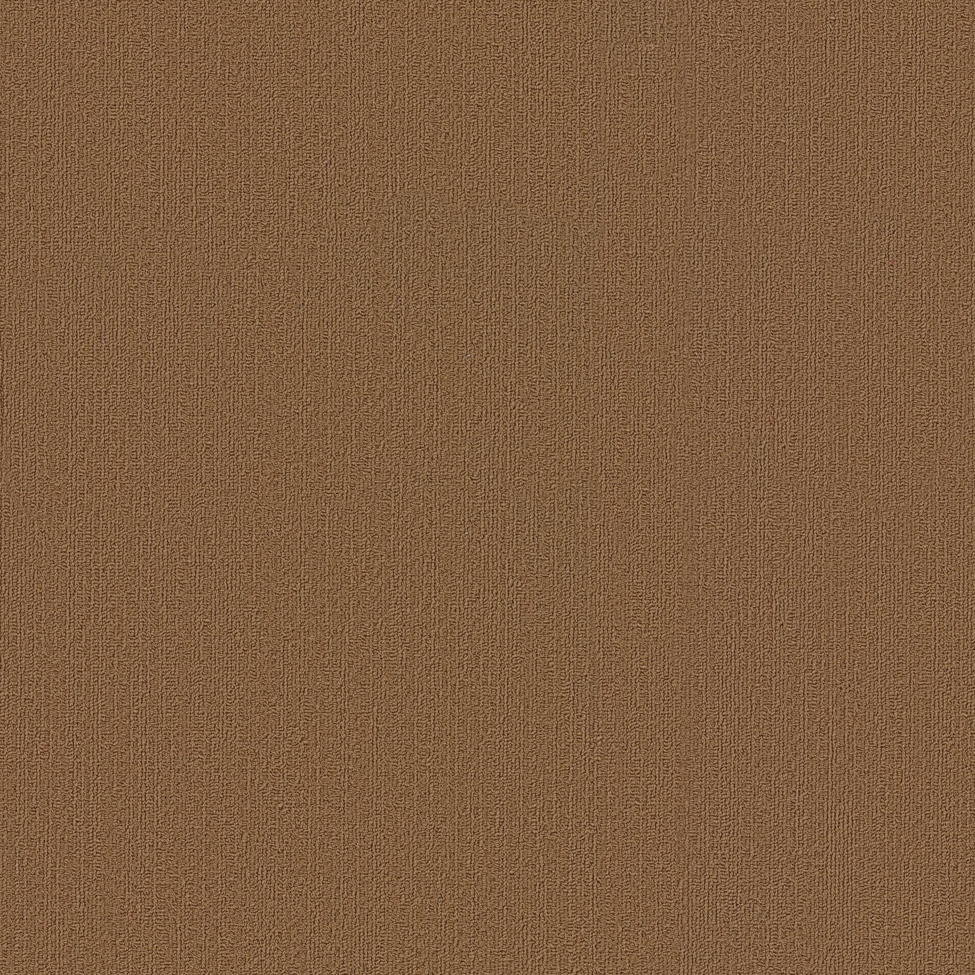 Shaw Philadelphia Commercial Color Accents TL 24" x 24" Glue Down