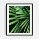 Green Leaf Photography Art Print/Poster - Bed Bath & Beyond - 34876605