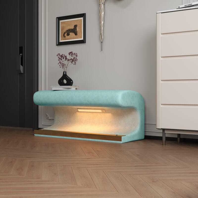 Modern & Contemporary Bench with Cushuion