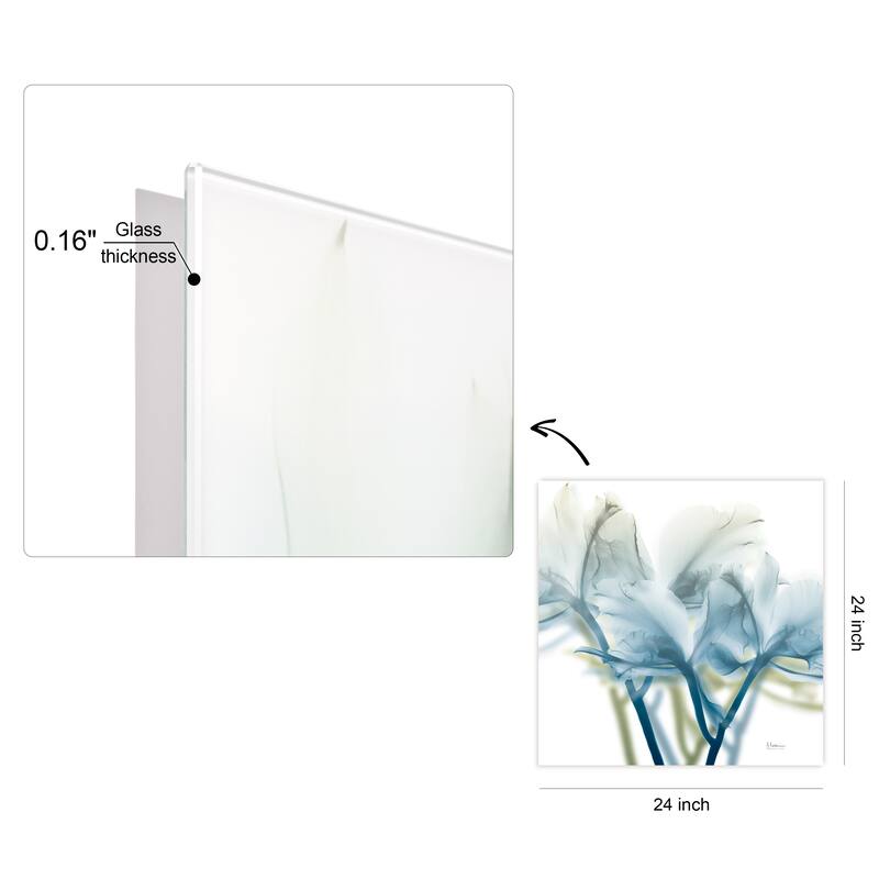 "Unfocused Beauty 3" Frameless Free Floating Tempered Glass Panel Graphic Wall Art