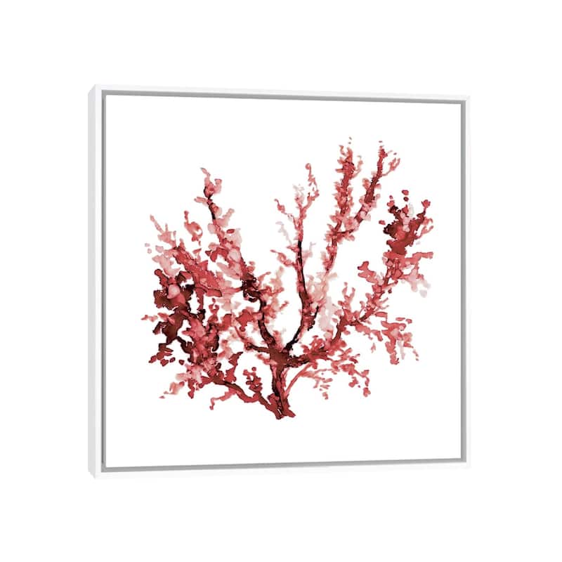 iCanvas "Sea Coral III" by Carol Robinson Framed Canvas Print - 37x37 - White