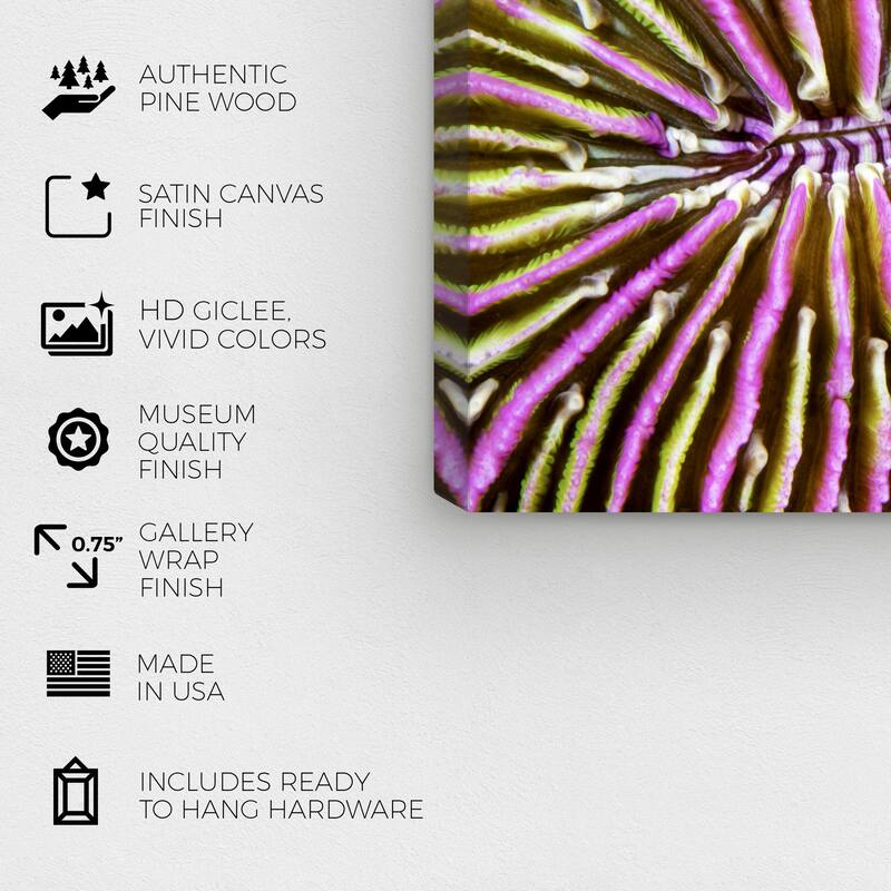 Wynwood Studio Nautical and Coastal David Fleetham - Mushroom Coral II Hot Pink Bohemian & Eclectic Wall Art Canvas Print