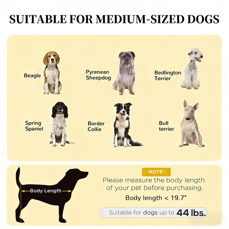 Pet Bed,Elevated Portable Dog Cot