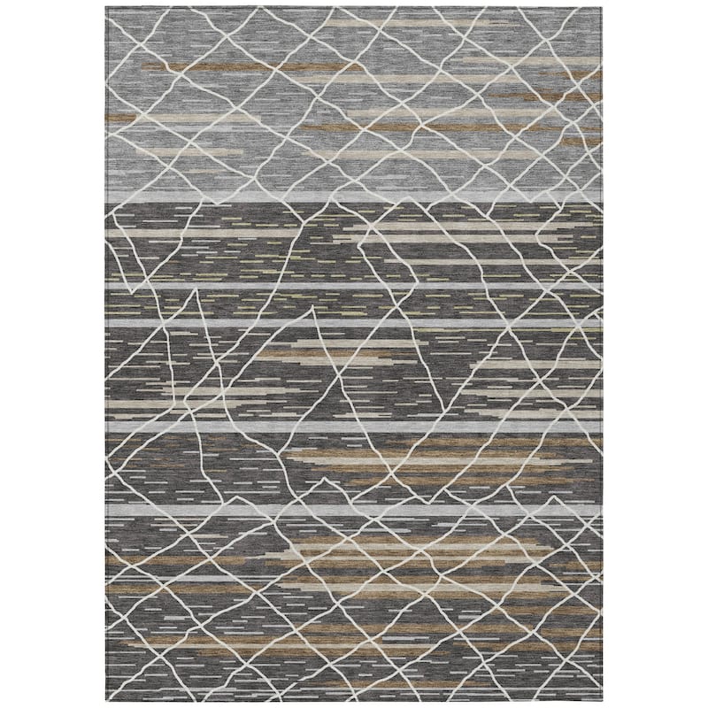 Machine Washable Indoor/ Outdoor Modern Global Chantille Rug