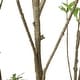 preview thumbnail 7 of 19, Bergweg Artificial Pieris Tree by Christopher Knight Home