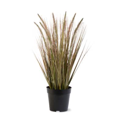 Cattail Grass