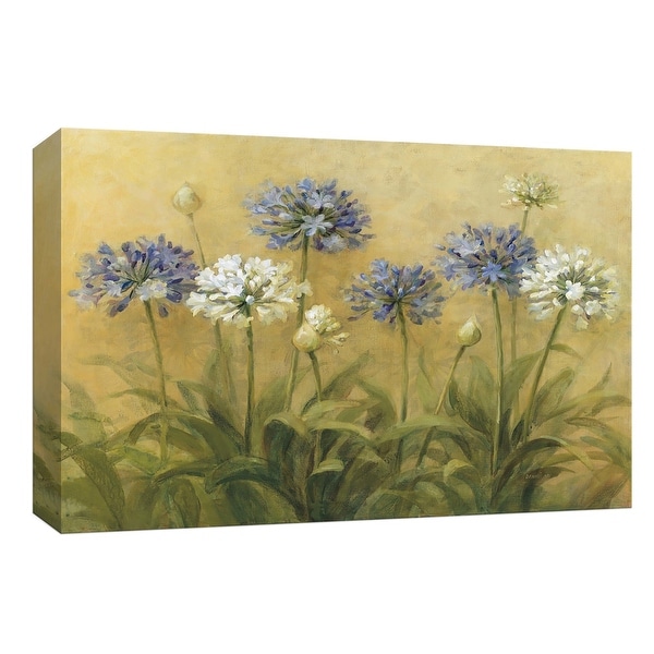 PTM Images 9-153894 PTM Canvas Collection 8" x 10" - "Agapanthus" Giclee Flowers Art Print on Canvas