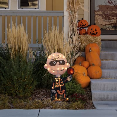 18" Peanuts LED Pre-Lit Charlie Brown Bones