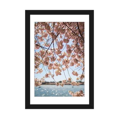 iCanvas "Washington DC Cherry Blossoms II" by Ann Hudec PFA