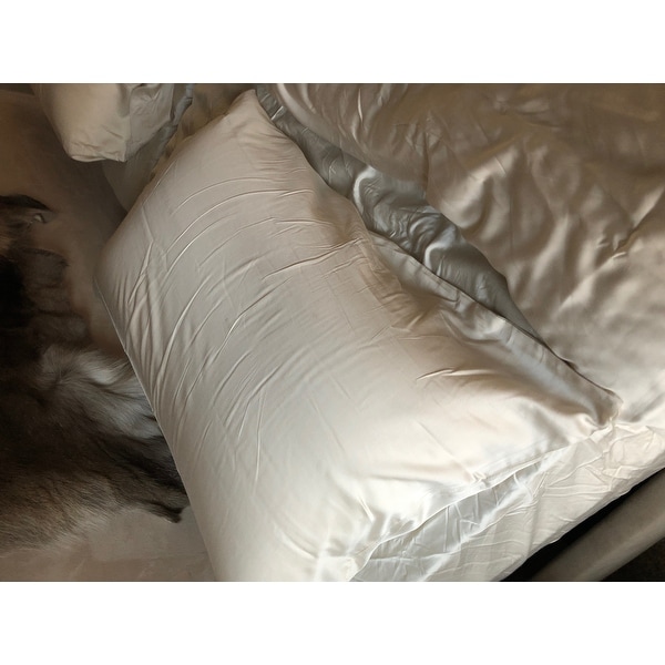 Premium Natural Latex Foam Pillow Bed Bath Beyond 83870
