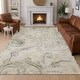 preview thumbnail 66 of 149, Machine Washable Indoor/ Outdoor Chic Paisley Chantille Rug
