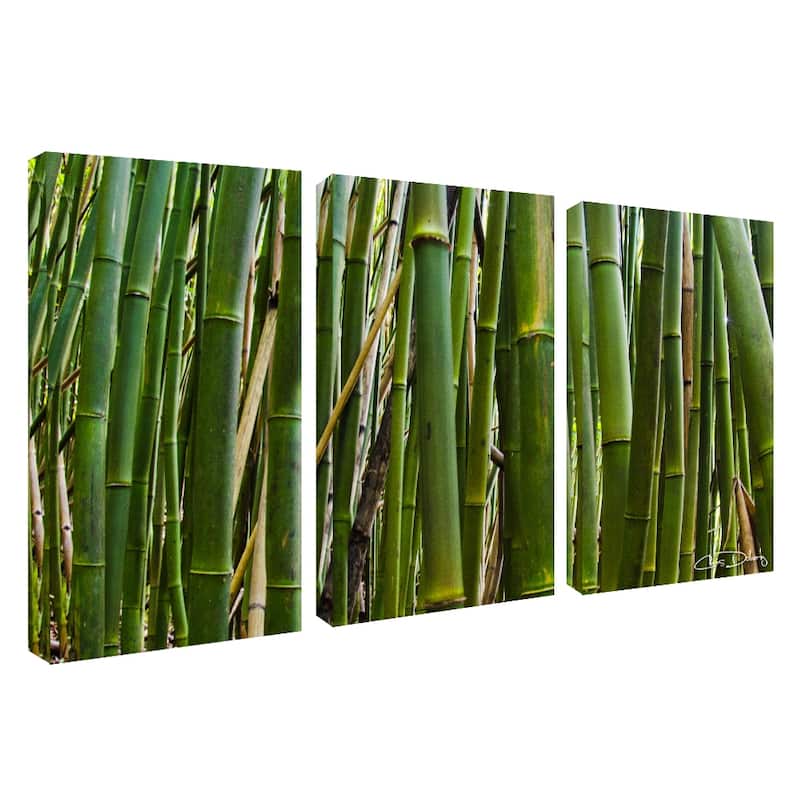 Ready2HangArt 'Maui Palms II' 3-Piece Wrapped Canvas Wall Art Set