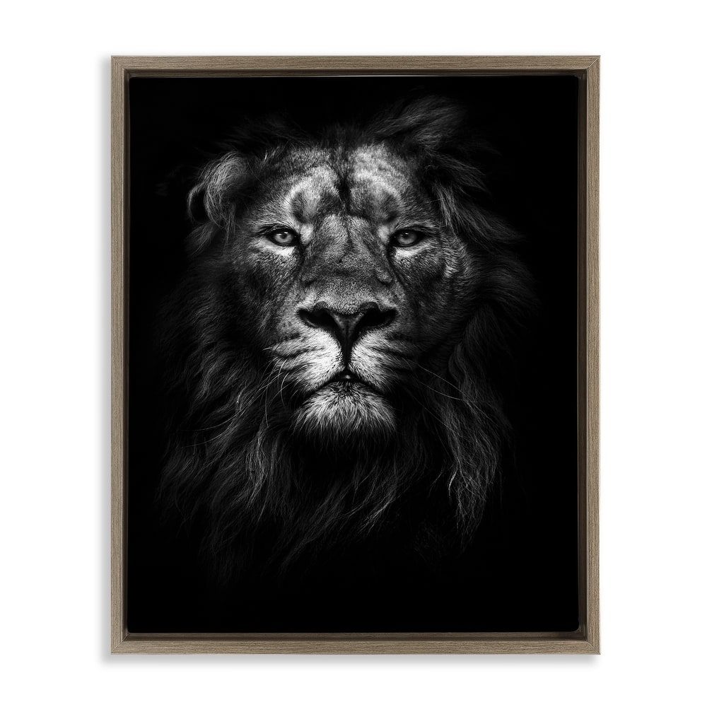 Stupell King of the Jungle Lion In Shadows Black and White Photography Floater Frame