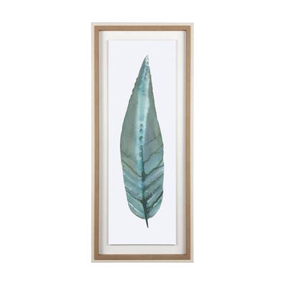 Salix Lucida Framed Art Print