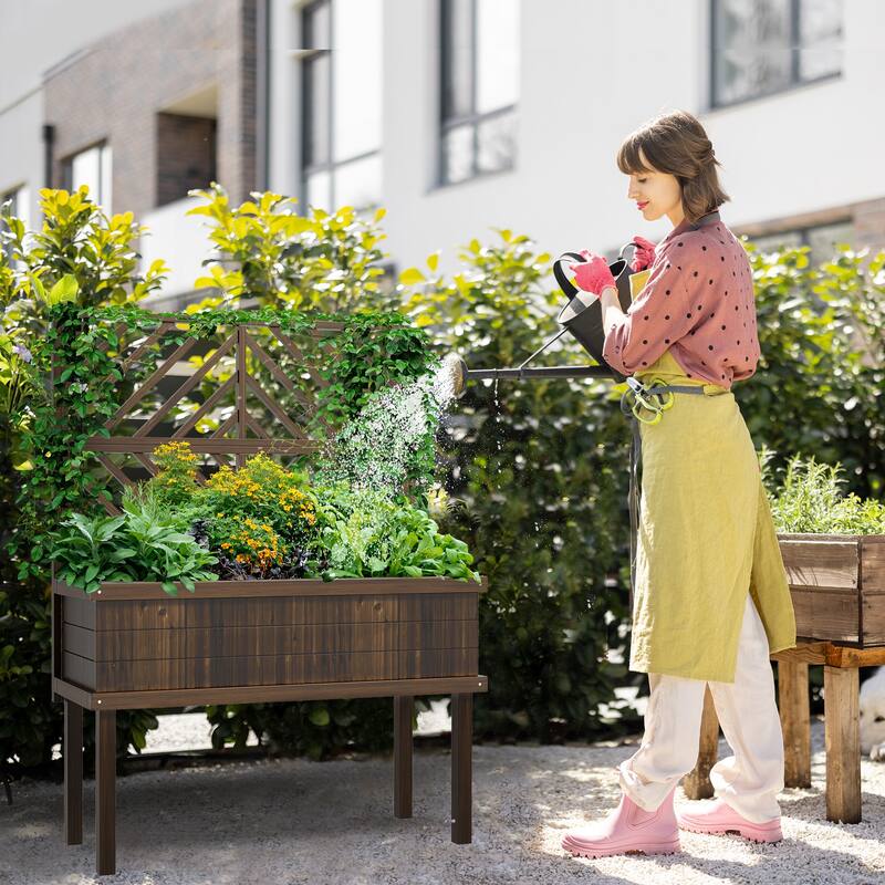 Outdoor Raised Garden Planter Box with Trellis, Self-Draining Design