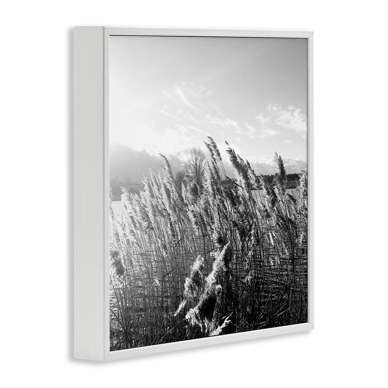 Stupell Tall Grass Lake Water Landscape Black White Photography Framed Wall Art