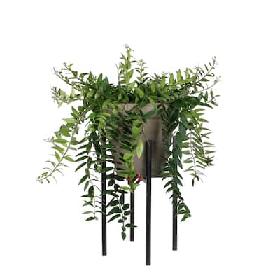 Ascot Plant Stand Black 6.5"Dia - A - Black