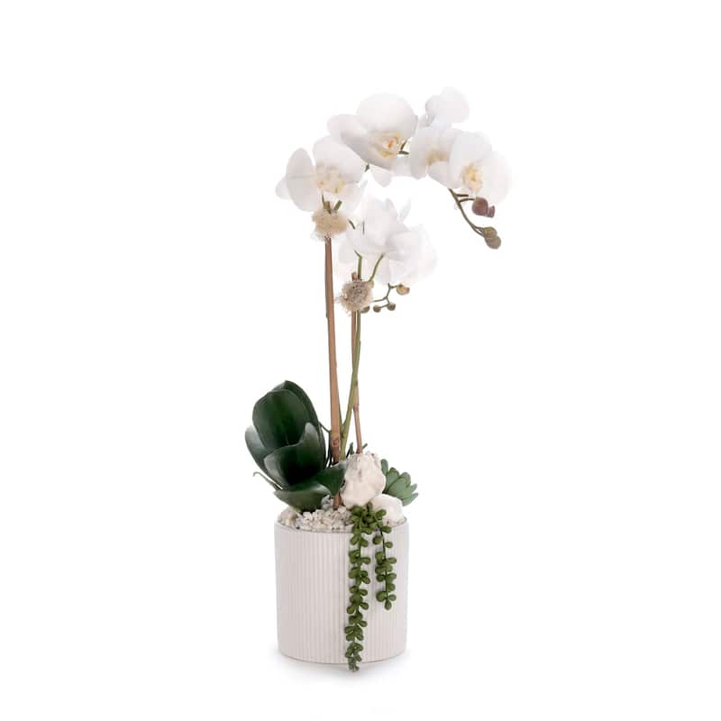Real Touch White Orchid Flower Arrangement in White Pot