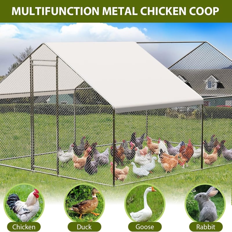 Large Metal Chicken CoopWalk-in Poultry Cage
