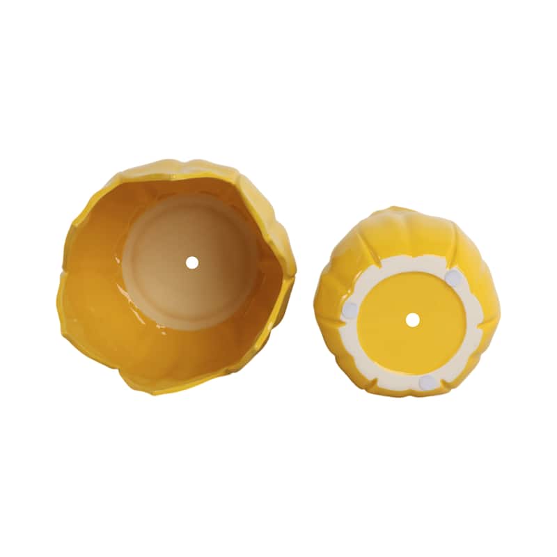 Stoneware Ceramic Planters Petal Design and Drainage Hole (Set of 2)