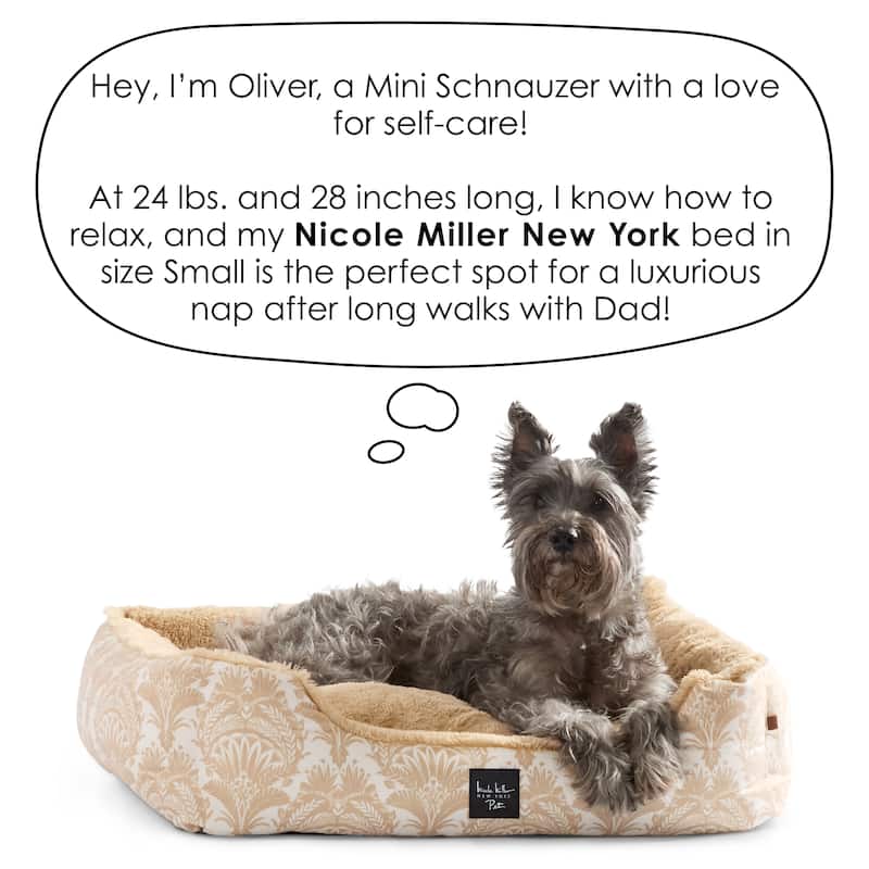 NICOLE MILLER NEW YORK PET Mod Damask Plushy Bolster Cozy & Calming Pet