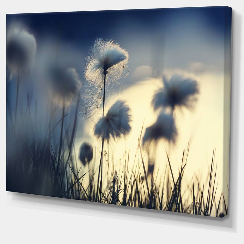 Designart "Arctic Blooming Cotton Flowers" Large Flower Canvas Wall Art