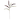 30" Sorghum Harvest Artificial Flower (Set of 12)