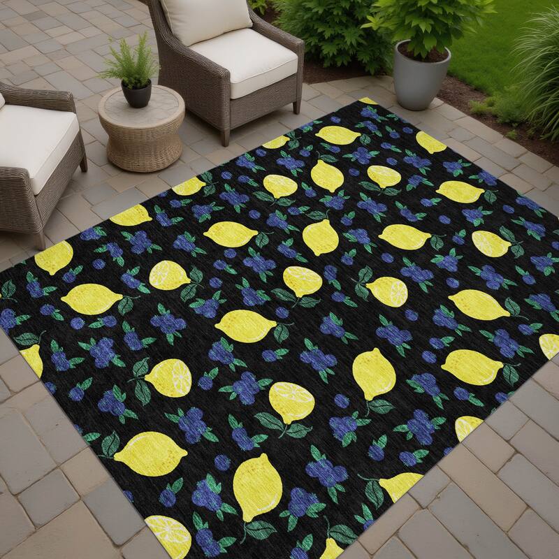 Machine Washable Indoor/ Outdoor Citrus Berry Chantille Rug - Black - 8' x 10'
