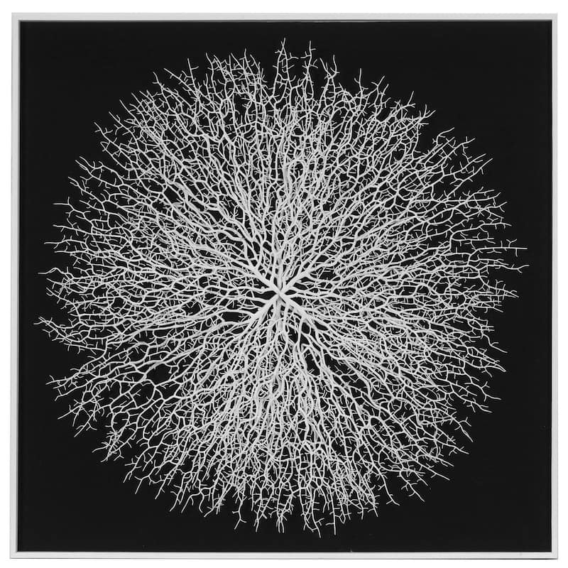 HUJI Roots On Linen Wall Art Decorative Accent