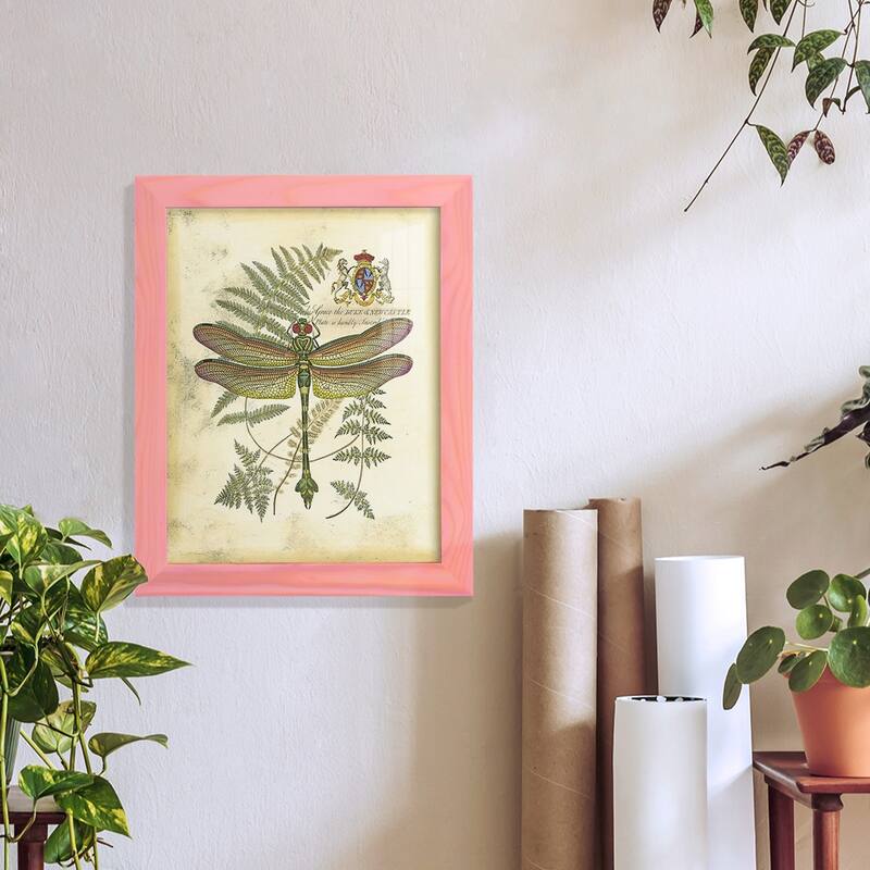 Regal Dragonfly III (PP) -Framed Print w/glass-Cherry Red