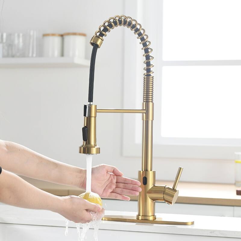 Kitchen Faucet with Battery Control Valve