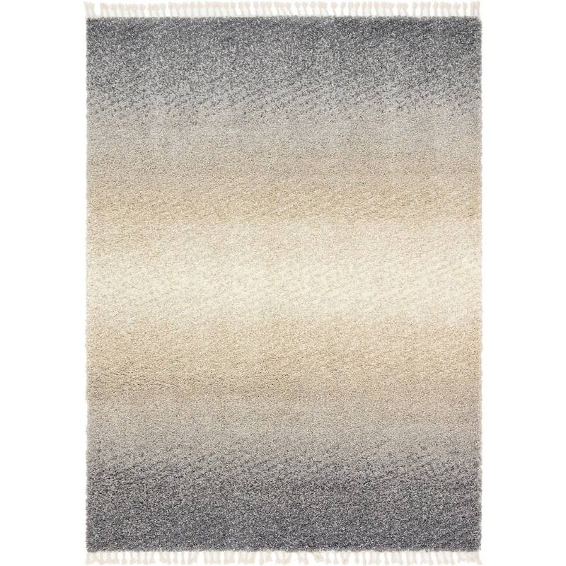 Shag Brico Collection Area Rug
