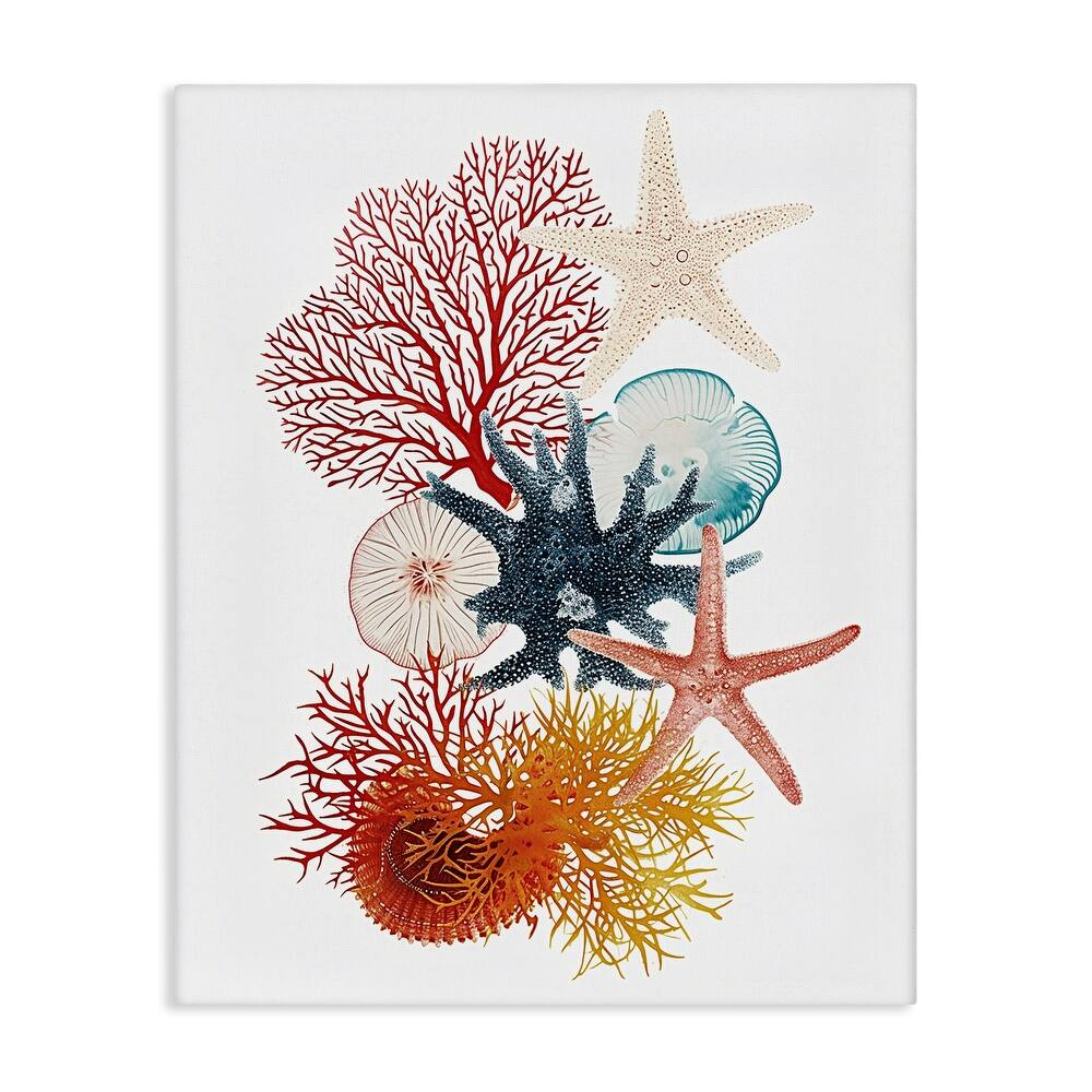Stupell Coral & Undersea Creatures Canvas Wall Art Design By Ramona Murdock